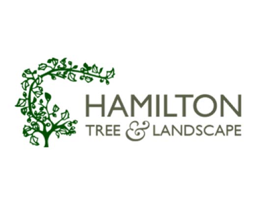 Hamilton Tree and Landscape 